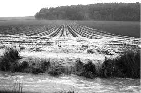 ՀՈՂԻ ԷԿՈԼՈԳԻԱ