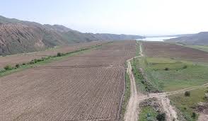 Կառավարությունը հավանություն տվեց ...