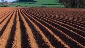 ՀՈՂԱԳԻՏՈՒԹՅԱՆ ՀԻՄՈՒՆՔՆԵՐԸ Հողը ...