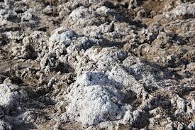 ԱՂԸ ԴԱՏԱՐԿՈւՄ Է ԳՅՈւՂԵՐԸ